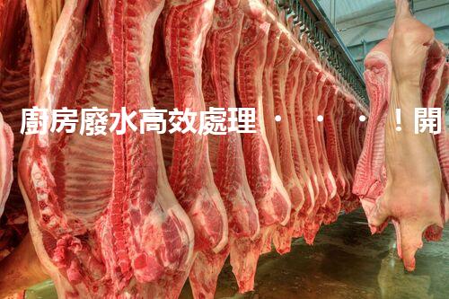 廚房廢水高效處理！開啟綠色環(huán)保新“凈”界？